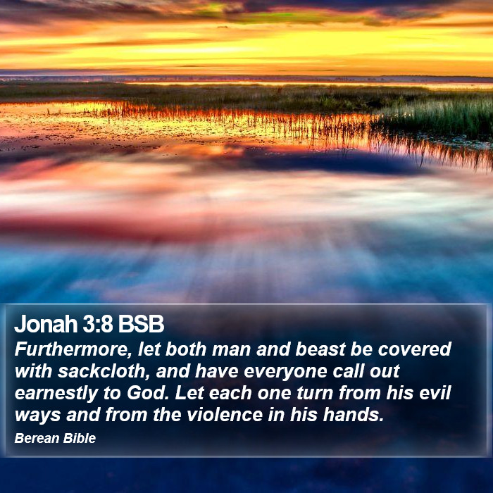 Jonah 3:8 BSB Bible Study