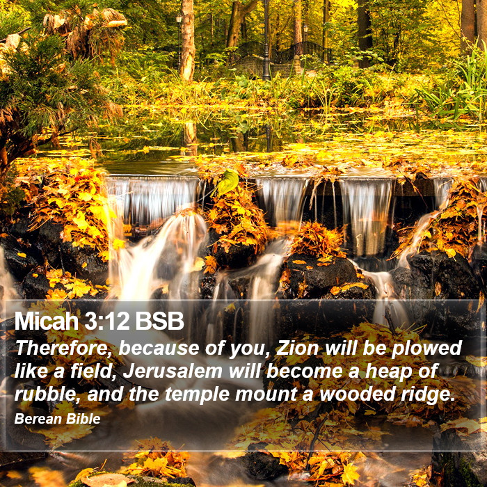 Micah 3:12 BSB Bible Study