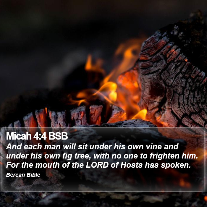 Micah 4:4 BSB Bible Study