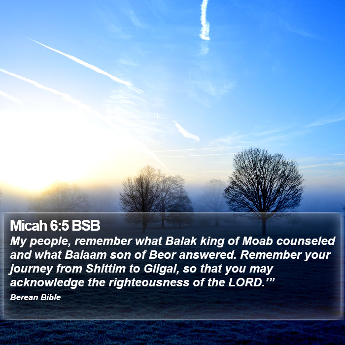 Micah 6:5 BSB Bible Study