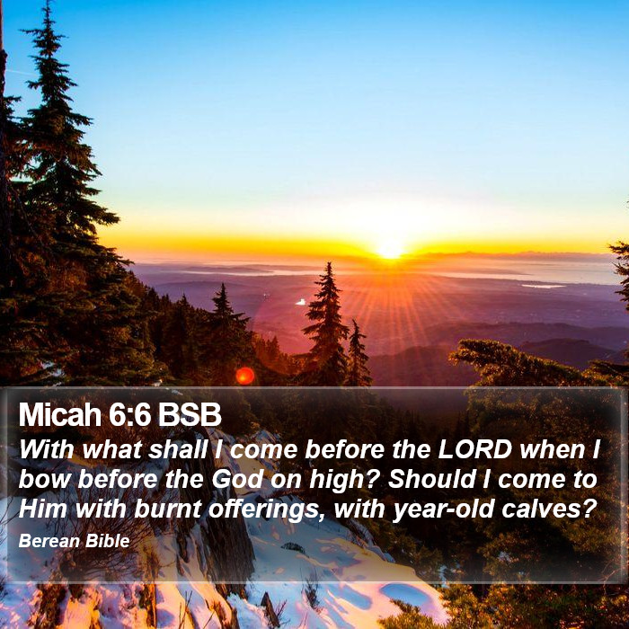 Micah 6:6 BSB Bible Study