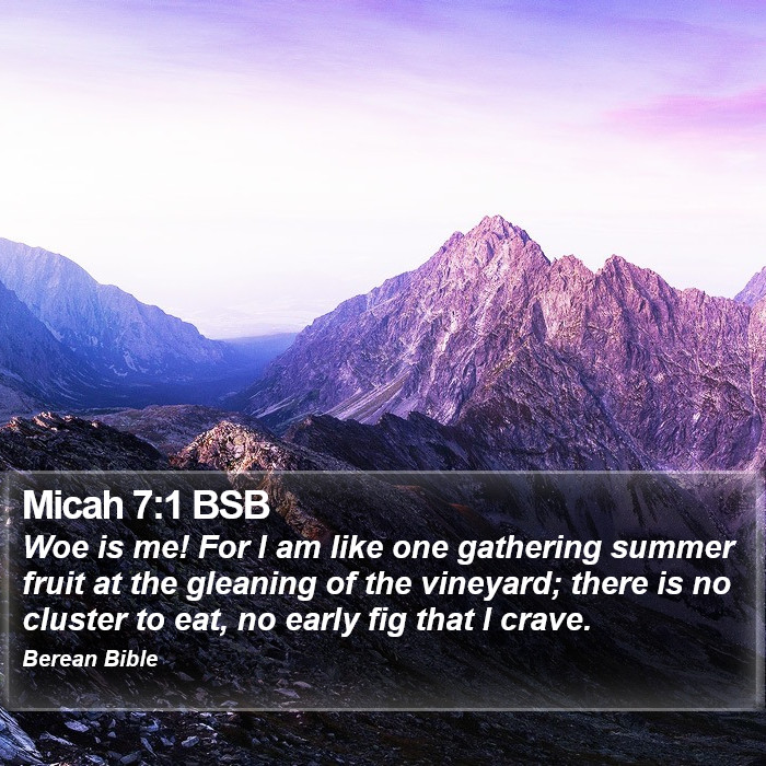 Micah 7:1 BSB Bible Study