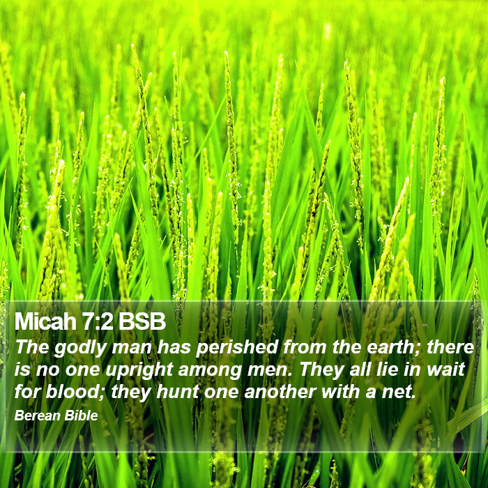 Micah 7:2 BSB Bible Study