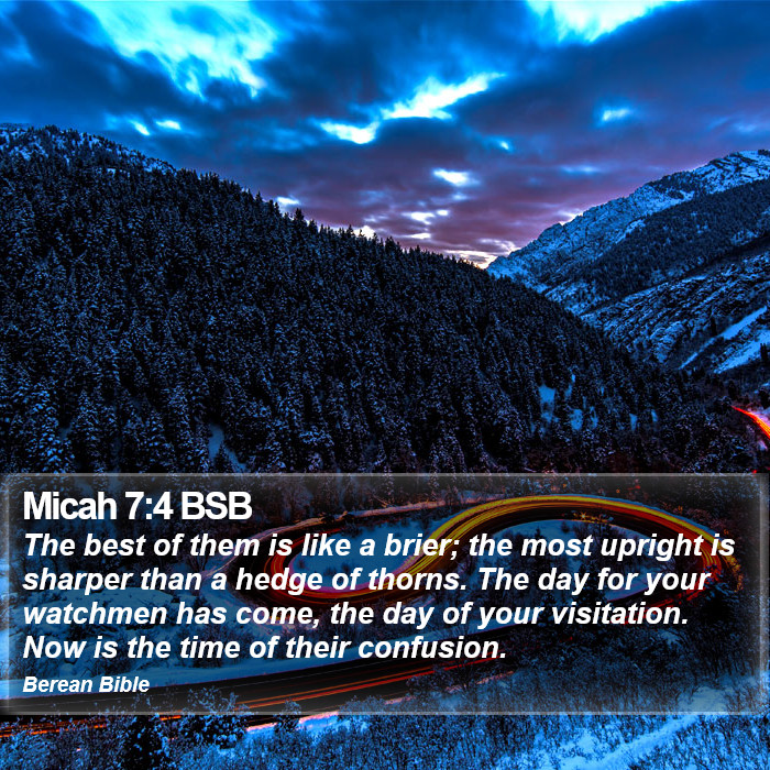 Micah 7:4 BSB Bible Study