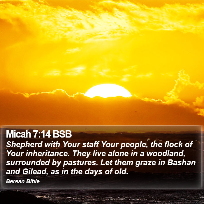 Micah 7:14 BSB Bible Study