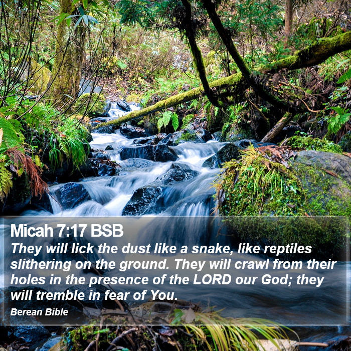 Micah 7:17 BSB Bible Study