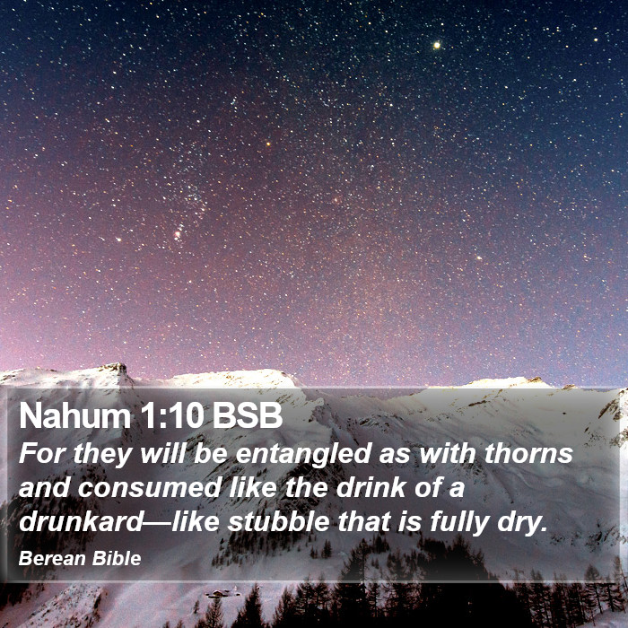 Nahum 1:10 BSB Bible Study