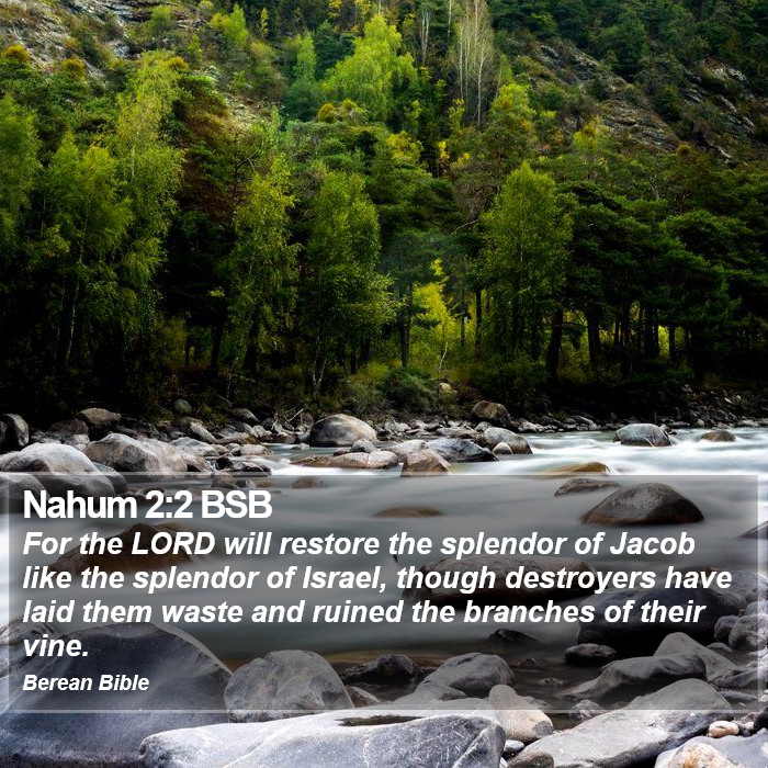 Nahum 2:2 BSB Bible Study