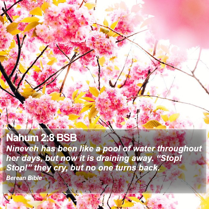 Nahum 2:8 BSB Bible Study