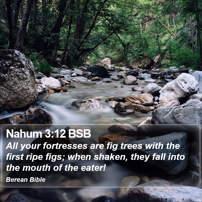 Nahum 3:12 BSB Bible Study