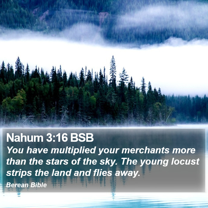 Nahum 3:16 BSB Bible Study