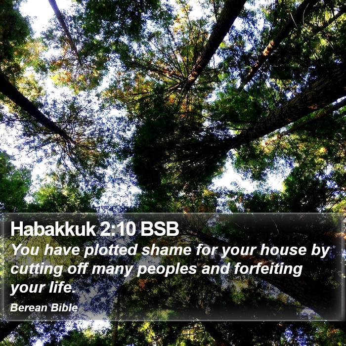 Habakkuk 2:10 BSB Bible Study