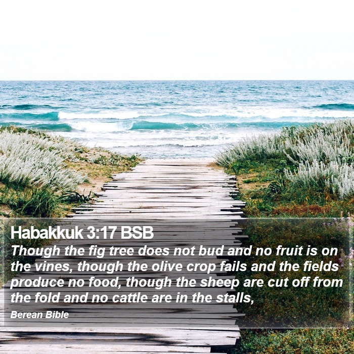 Habakkuk 3:17 BSB Bible Study