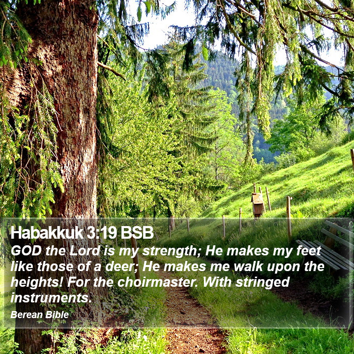 Habakkuk 3:19 BSB Bible Study