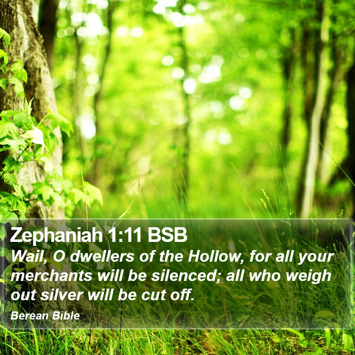 Zephaniah 1:11 BSB Bible Study