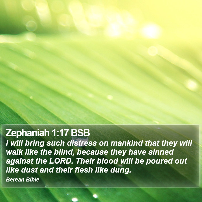 Zephaniah 1:17 BSB Bible Study