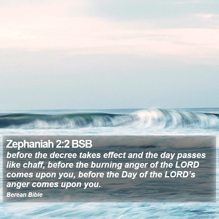 Zephaniah 2:2 BSB Bible Study