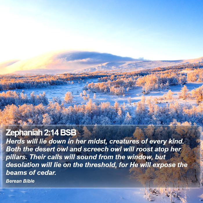 Zephaniah 2:14 BSB Bible Study