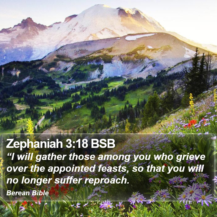 Zephaniah 3:18 BSB Bible Study