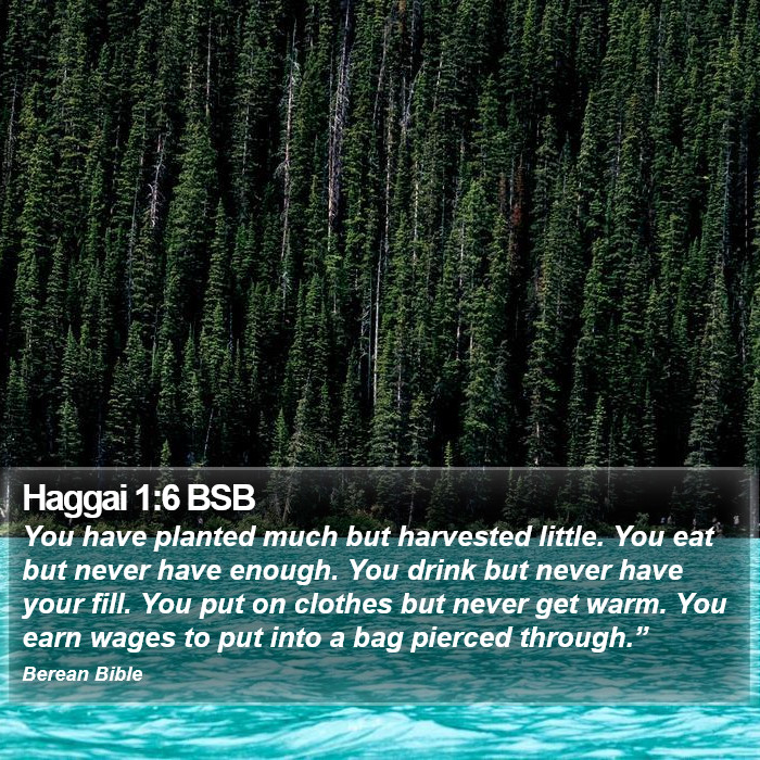 Haggai 1:6 BSB Bible Study