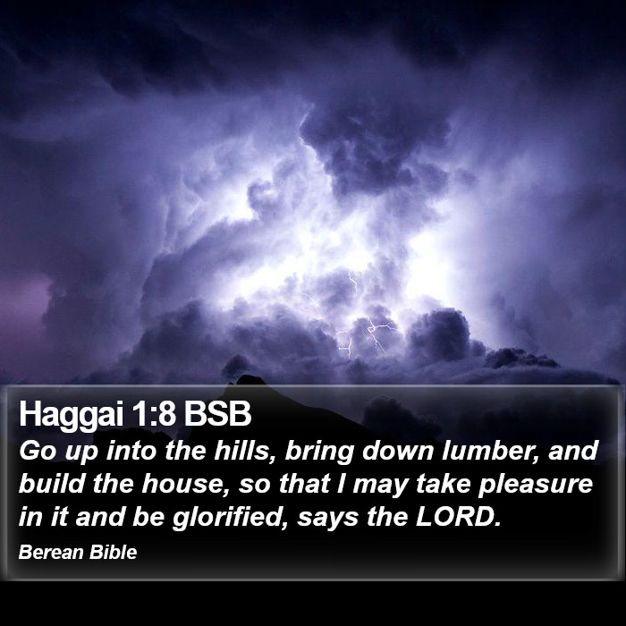 Haggai 1:8 BSB Bible Study