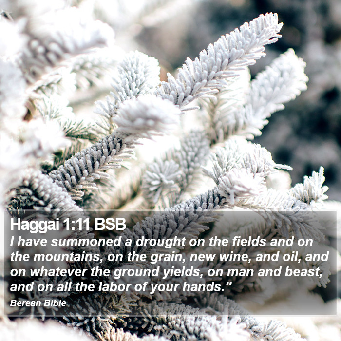 Haggai 1:11 BSB Bible Study