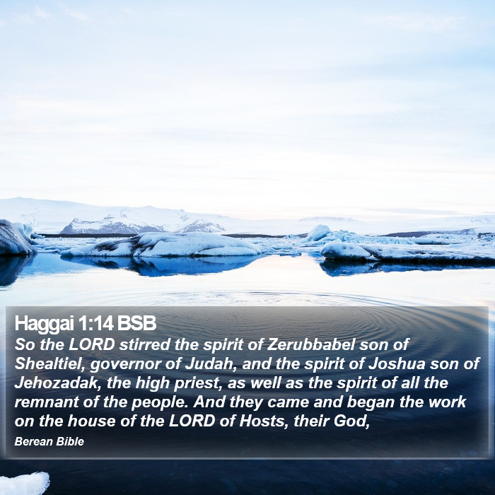 Haggai 1:14 BSB Bible Study