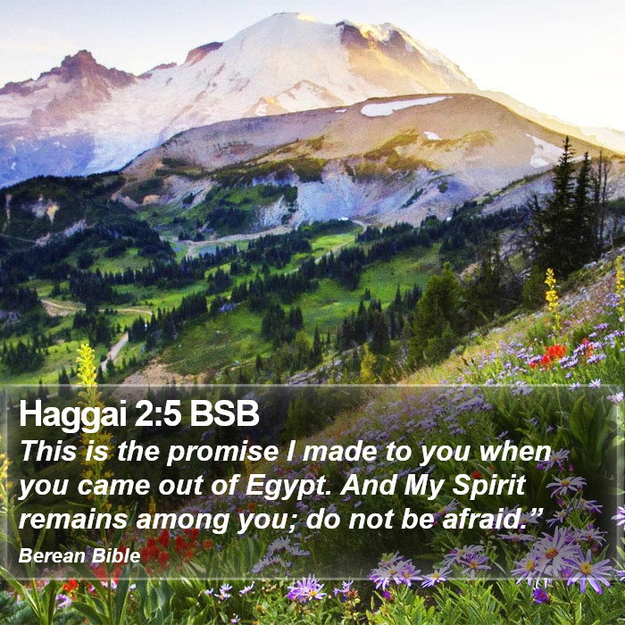 Haggai 2:5 BSB Bible Study