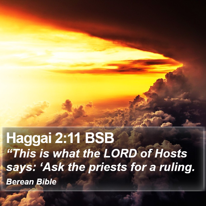 Haggai 2:11 BSB Bible Study