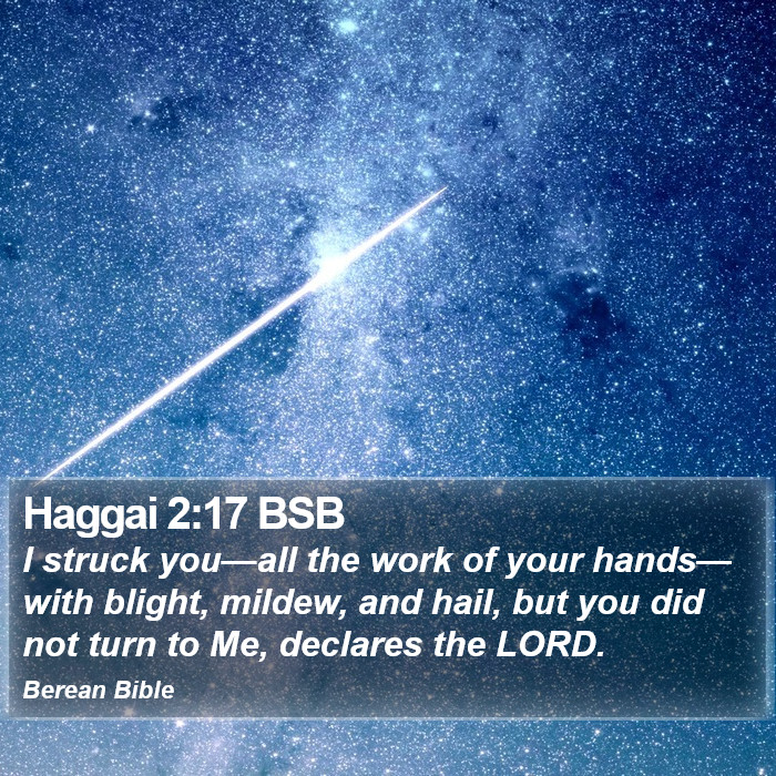 Haggai 2:17 BSB Bible Study