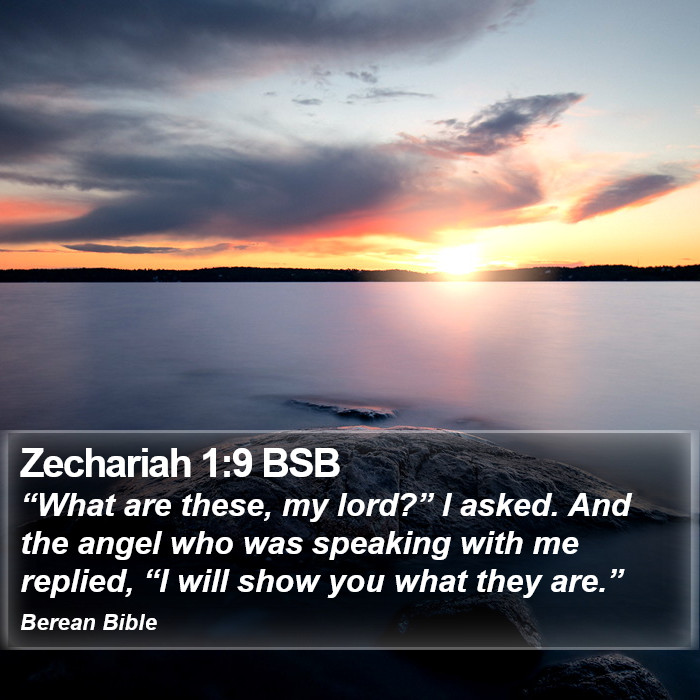 Zechariah 1:9 BSB Bible Study