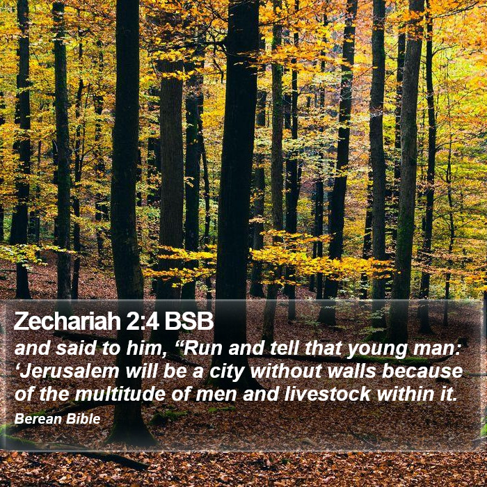 Zechariah 2:4 BSB Bible Study