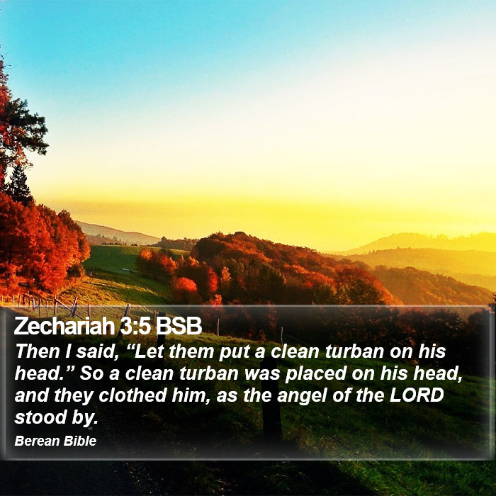 Zechariah 3:5 BSB Bible Study