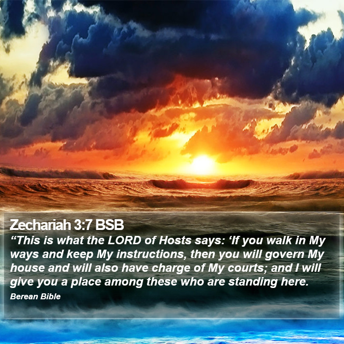 Zechariah 3:7 BSB Bible Study