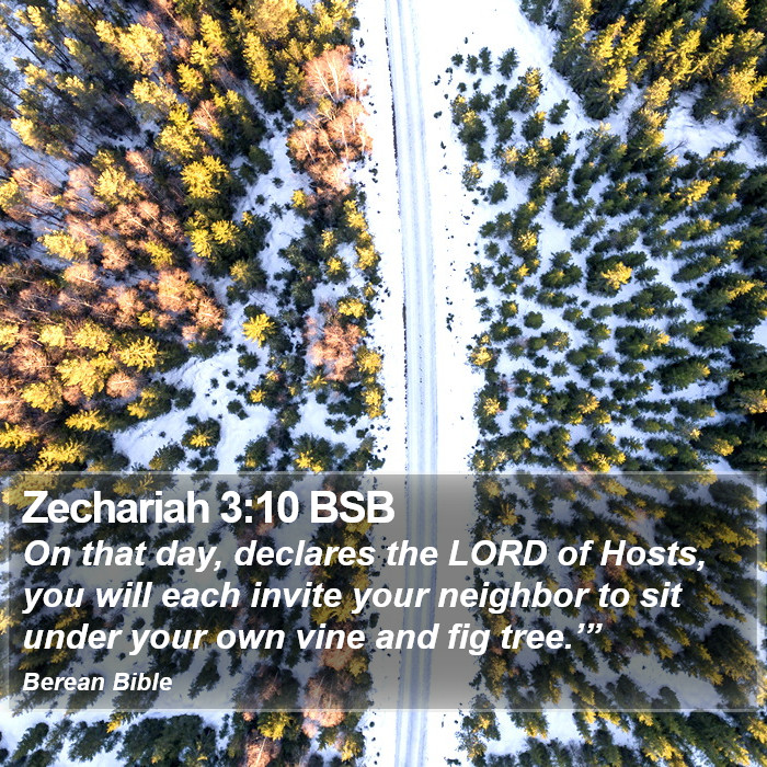 Zechariah 3:10 BSB Bible Study