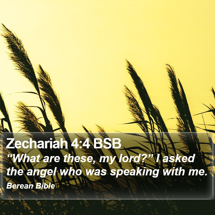 Zechariah 4:4 BSB Bible Study