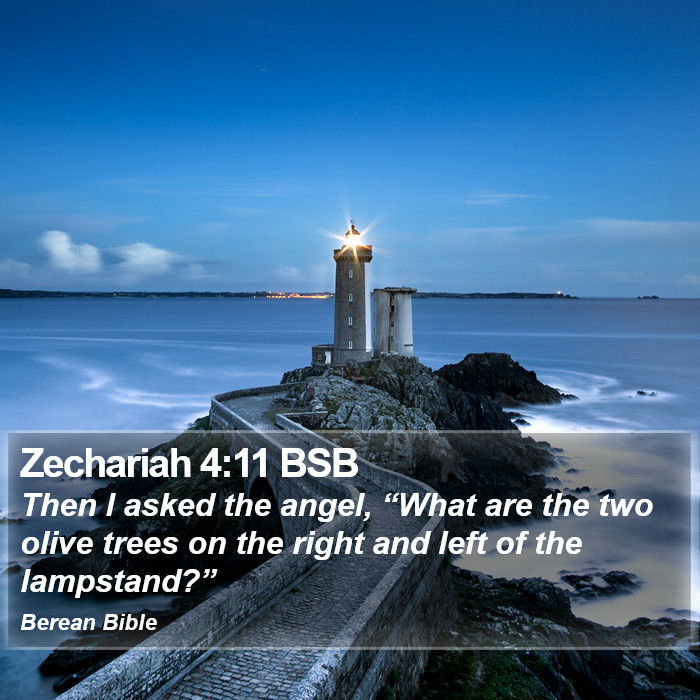 Zechariah 4:11 BSB Bible Study