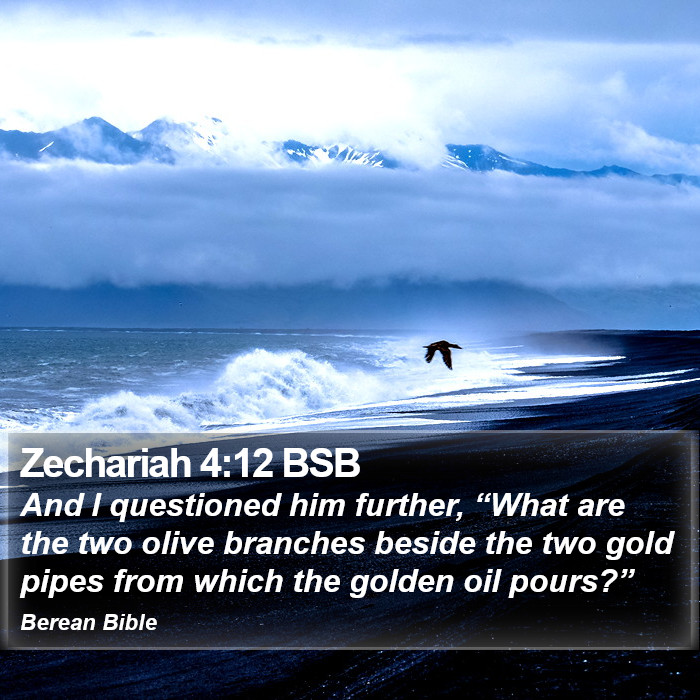 Zechariah 4:12 BSB Bible Study