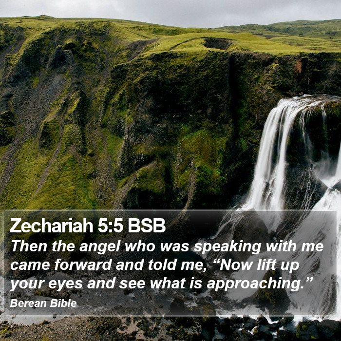 Zechariah 5:5 BSB Bible Study