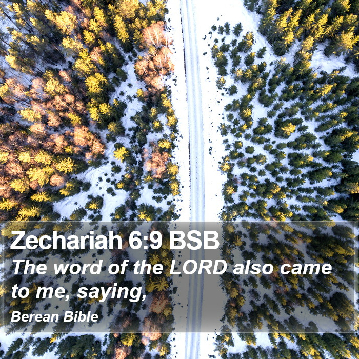 Zechariah 6:9 BSB Bible Study