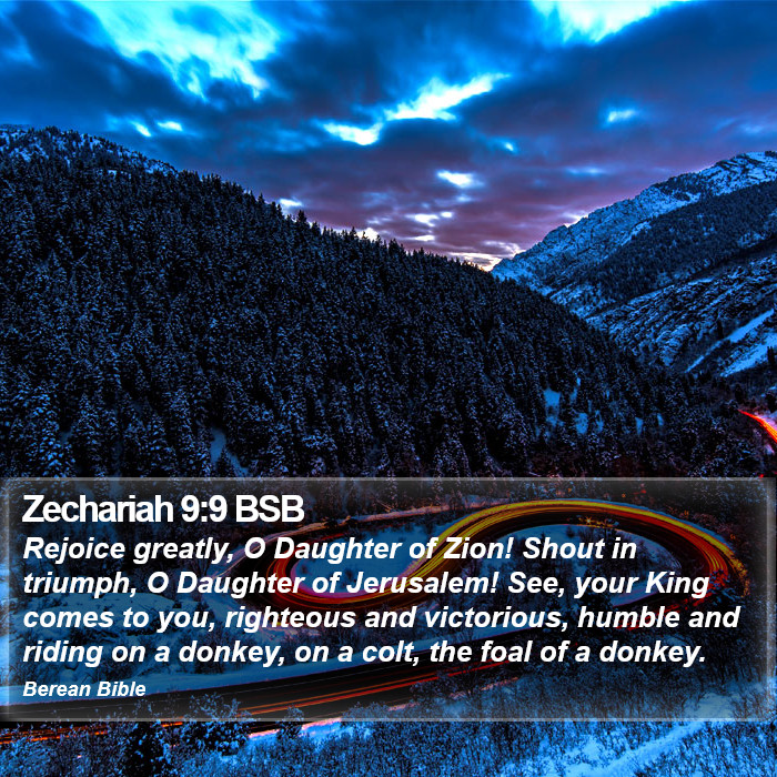 Zechariah 9:9 BSB Bible Study