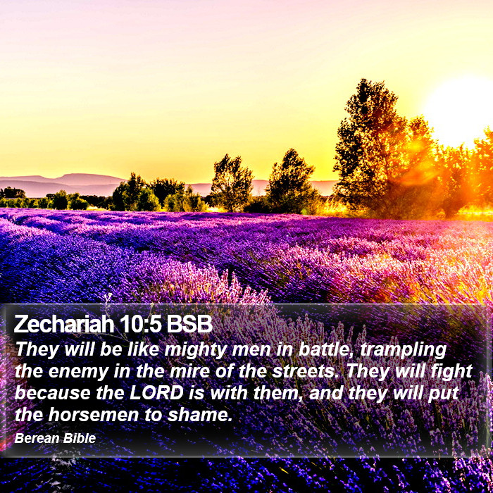 Zechariah 10:5 BSB Bible Study