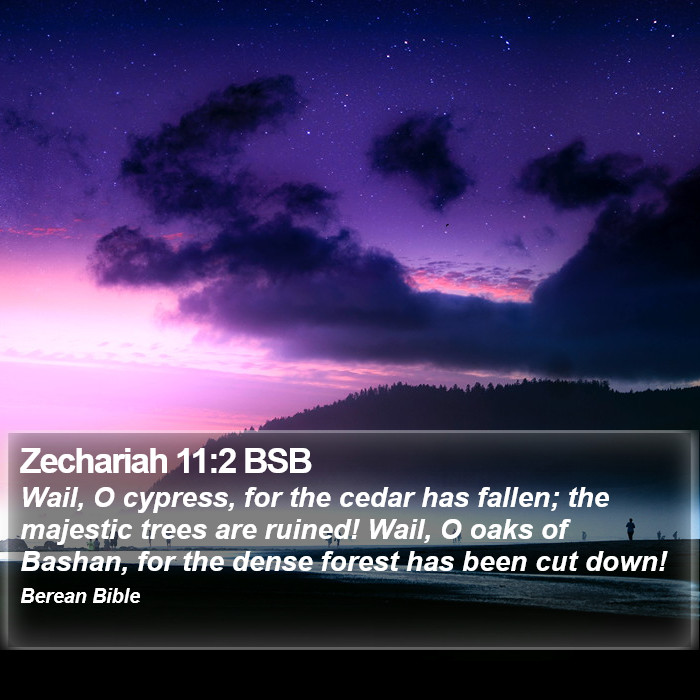 Zechariah 11:2 BSB Bible Study