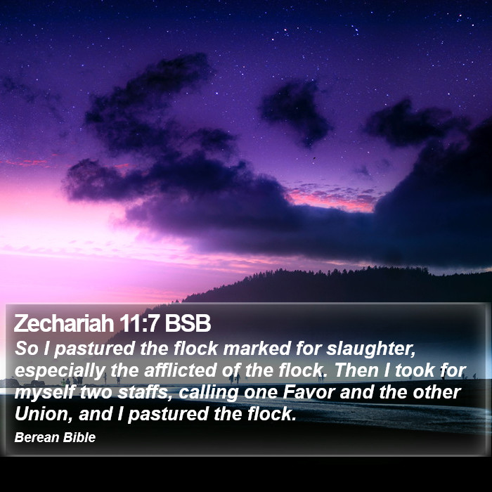 Zechariah 11:7 BSB Bible Study