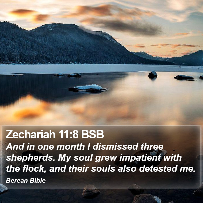 Zechariah 11:8 BSB Bible Study