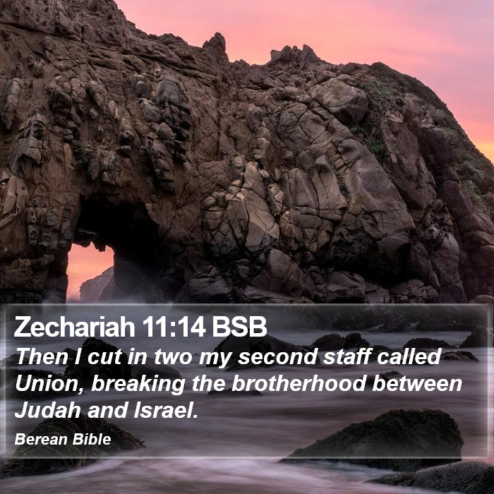 Zechariah 11:14 BSB Bible Study