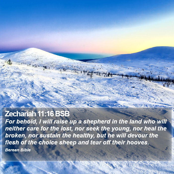 Zechariah 11:16 BSB Bible Study