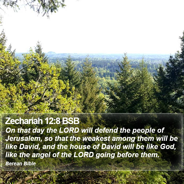 Zechariah 12:8 BSB Bible Study