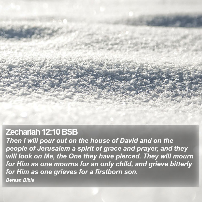 Zechariah 12:10 BSB Bible Study