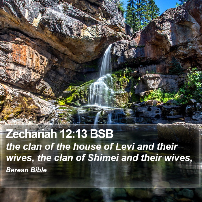 Zechariah 12:13 BSB Bible Study